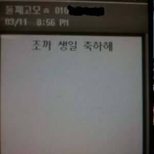 고모에게 온문자(뽐덕에서 퍼옴)