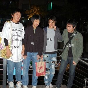 니드라 마피아하자