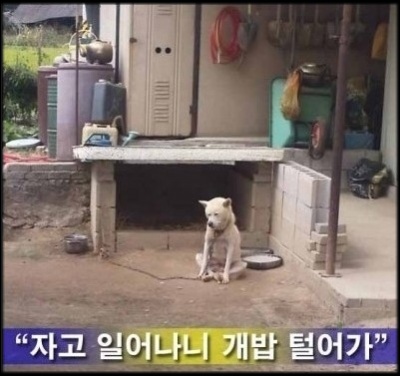 개털림.jpg