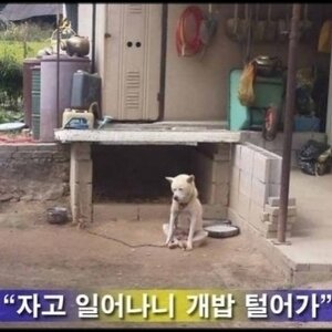 아까 못본애들을 위한 인증사진2