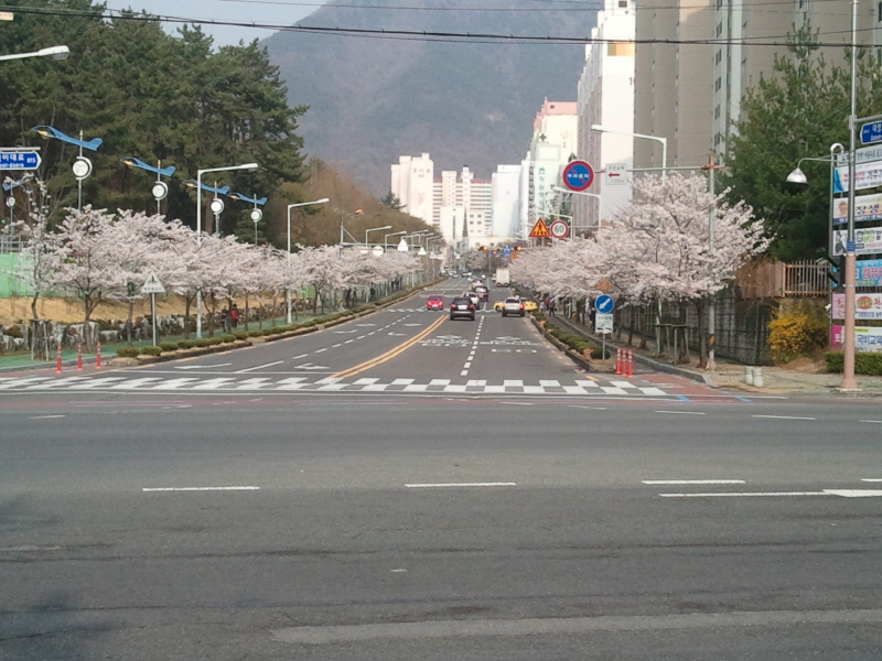 크기변환_2011-04-08 16.08.40.jpg