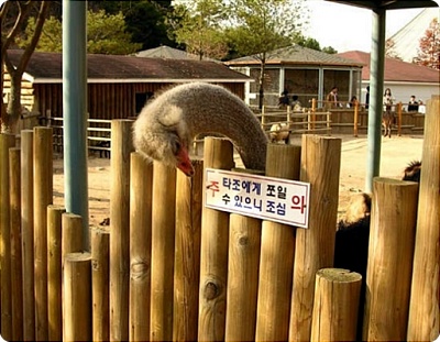 뭐라고~1.JPG