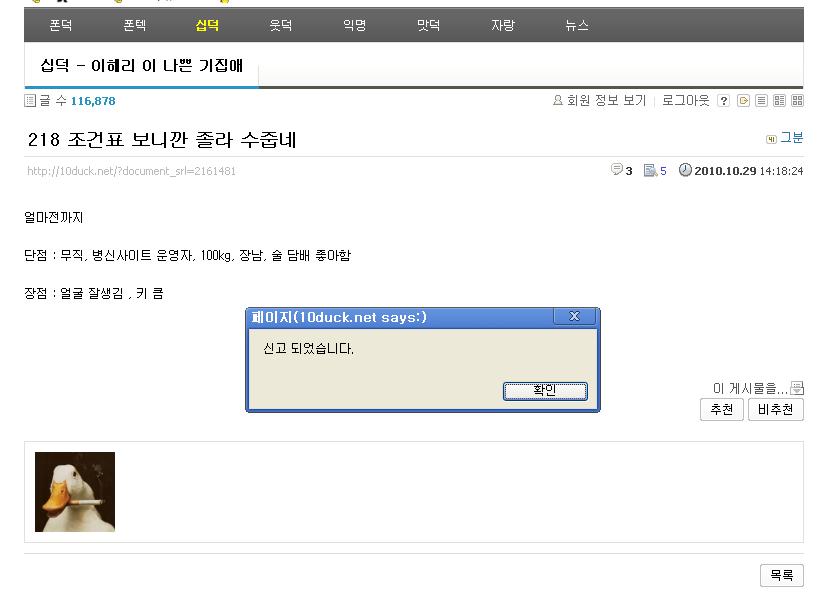 레알싱고.JPG