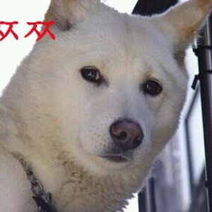 어 ;;갤삼 45  3유떳 ;;