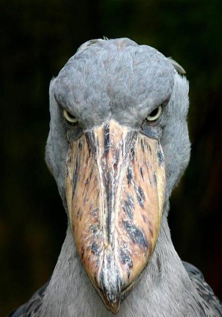 49f0d51351dc0.jpg