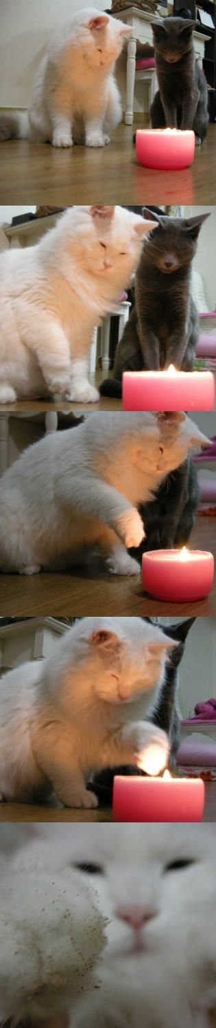 아..탔다.jpg