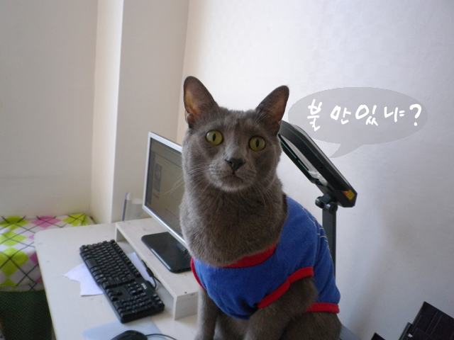 samdol1.jpg