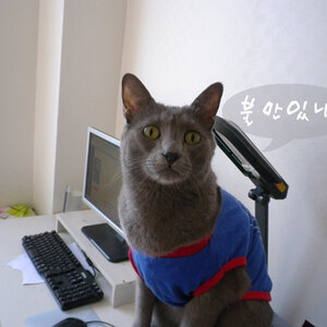 바이브4집