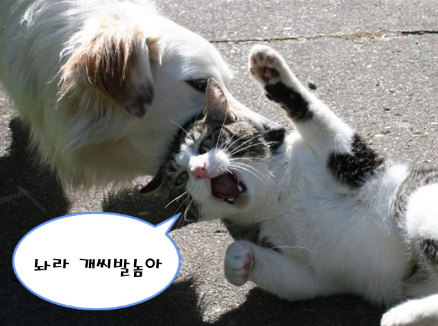 이거놔라 이 개야.jpg