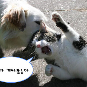아이폰4 ㅇㅇ