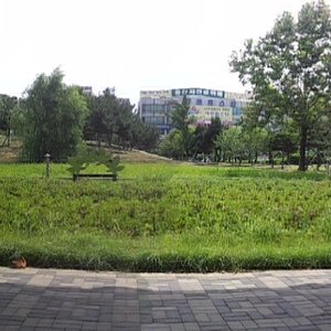 니들도 헬투 사셈 쩜미다