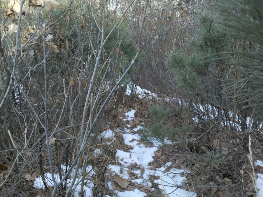 5122011-01-28_12-08-28_576.jpg