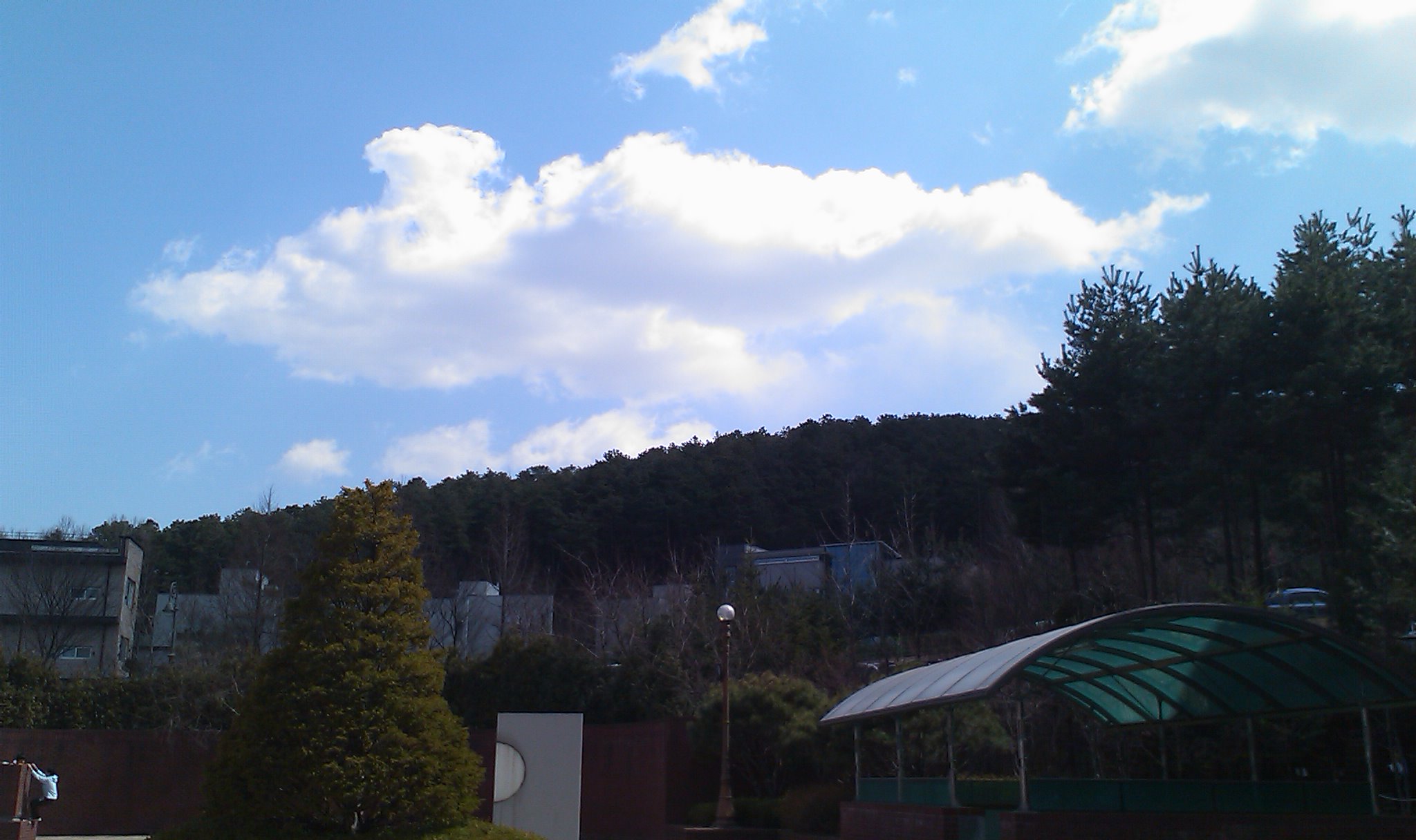 IMAG0141.jpg