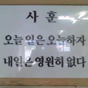 야이 늬드라!!