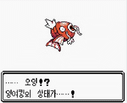 오잉?