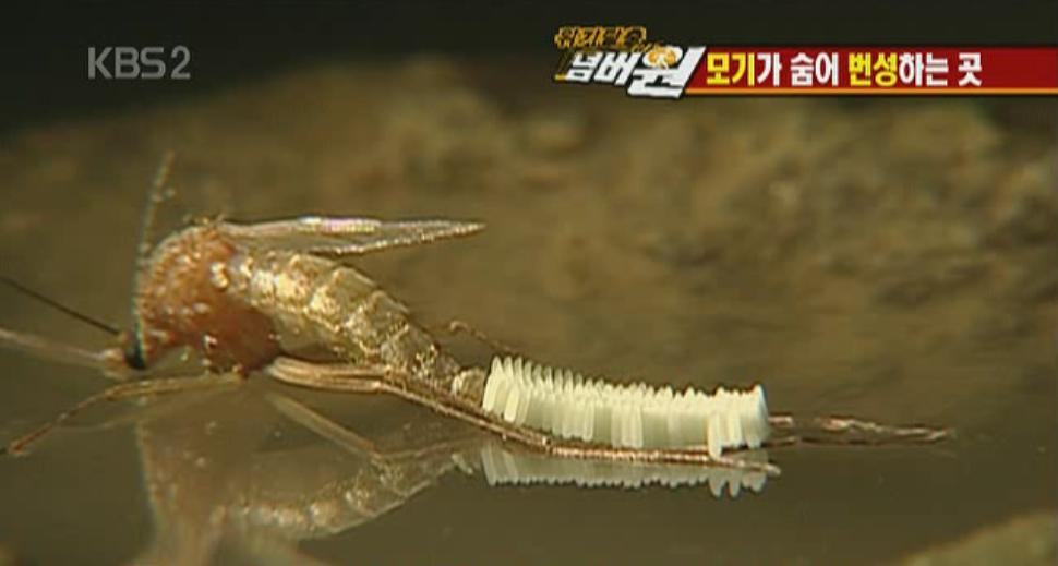 알싸기.JPG