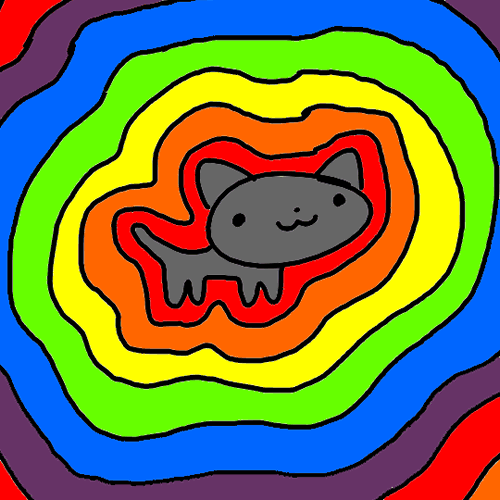 고양이2