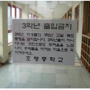 너넨_여기_오지마_시발놈들아.jpg