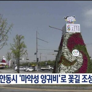 요즘 뭐 재미난거 좀 없냐.