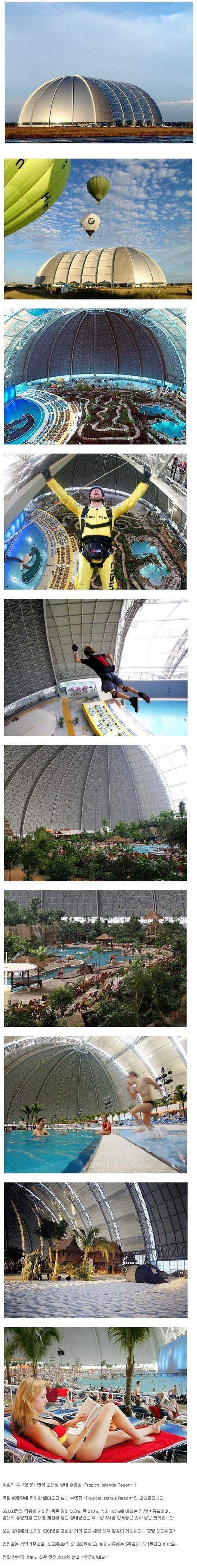 swimv.jpg