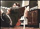 크기변환_배은망덕.gif