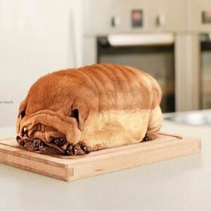 빵먹고싶다