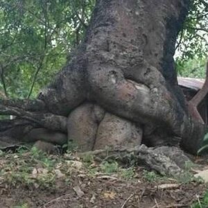 근데 비유ㅣ듀 행사장 가도 망할듯.