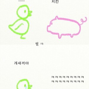 돼지 병아리