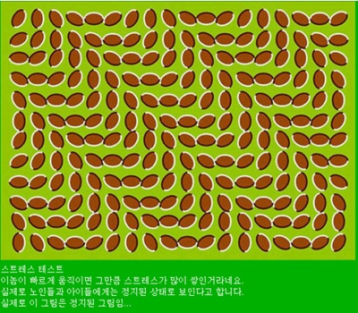 128604911.jpg