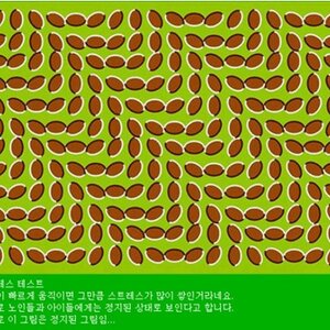 스트레스?
