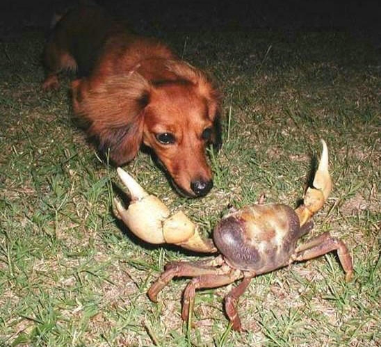 흥.jpg