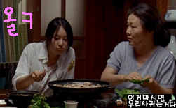 1년무료에그 사용자로서