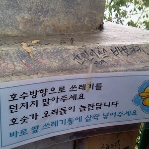 오리들이 놀랜대
