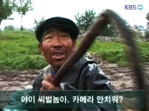 벌.jpg