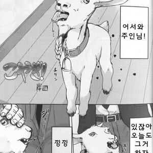 예전부터 느낀건데 ssd쓴다고 와 시발 존나빨러는 아닌거같음