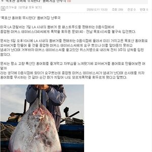 홍어버거