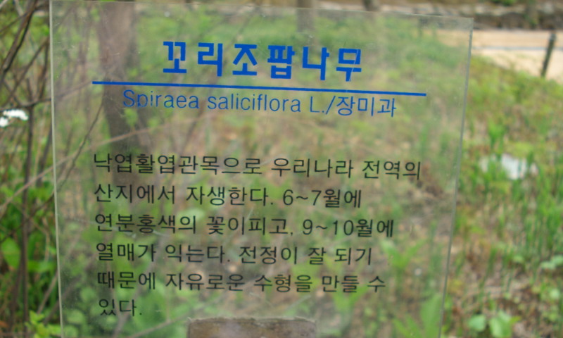 P100423023.jpg