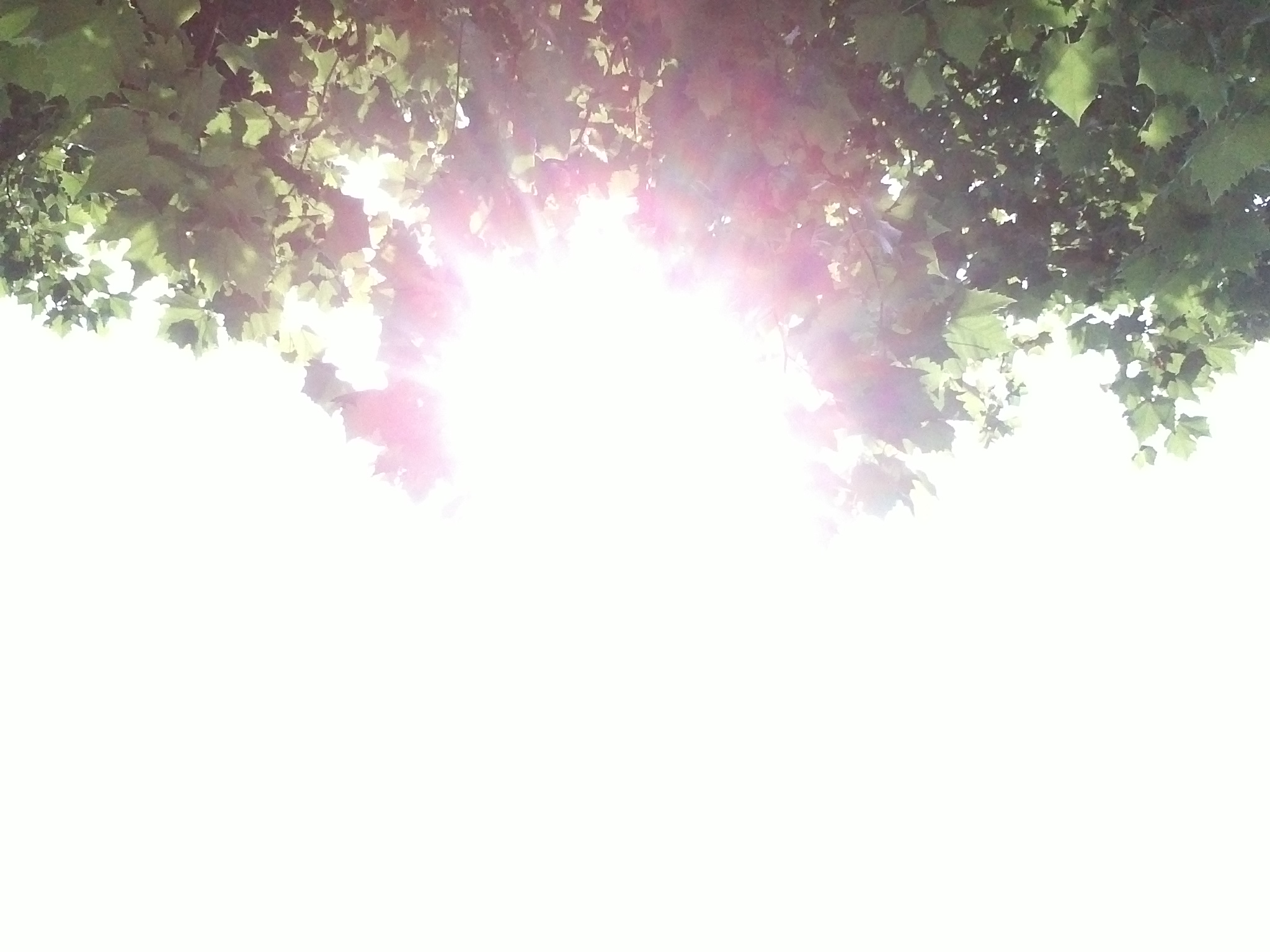 IMG059.jpg