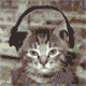1255817247.gif