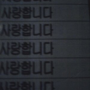 이런 별 씨발 존만한 난독 유입종자새끼가
