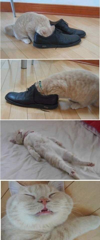 호흡곤란.jpg