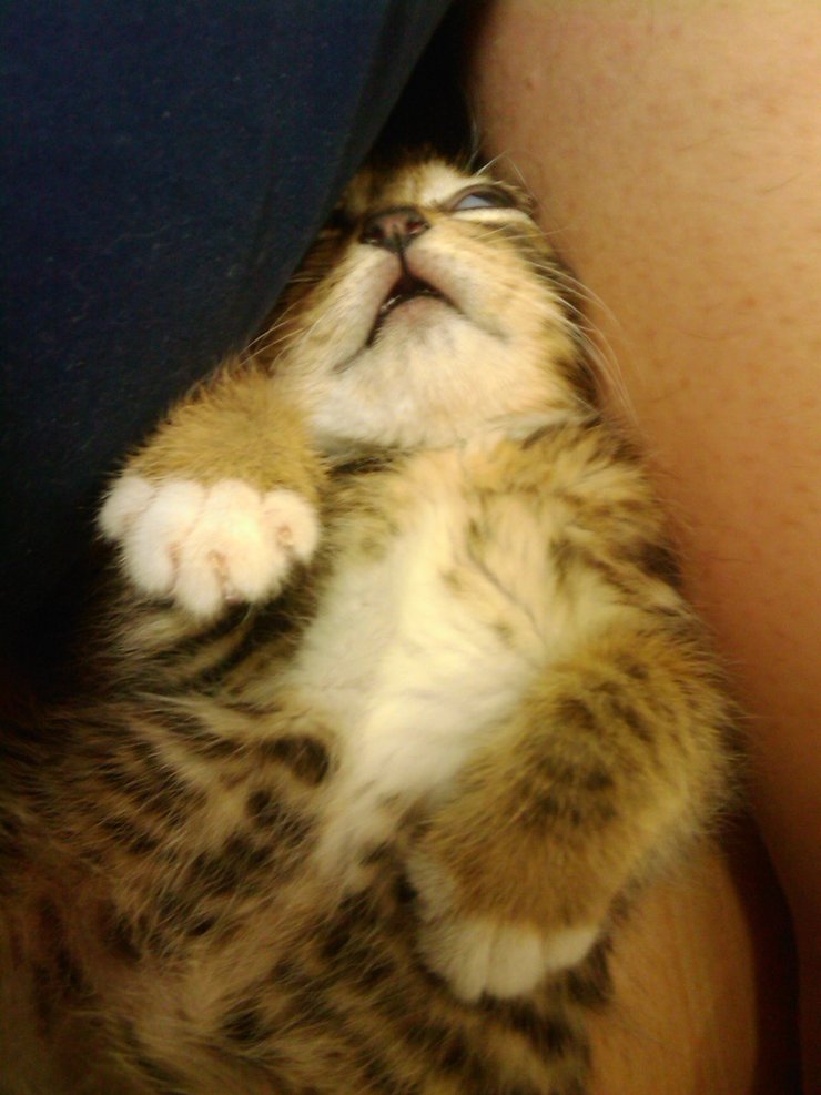 201005130201_161_rusign.jpg