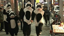 안뇽?