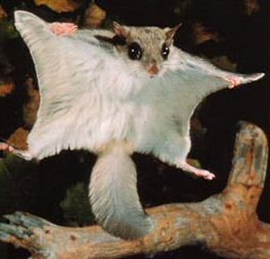 20100529094351.jpg