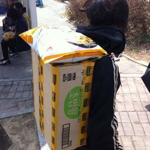 인케이스 신제품 나왔다