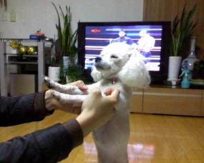 ㅎㅎ.jpg