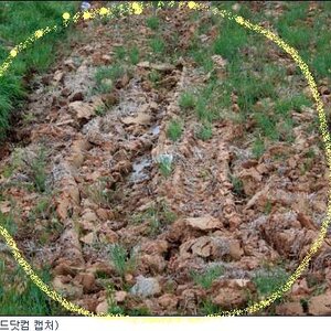 내가 정답표시한거 못봣어?