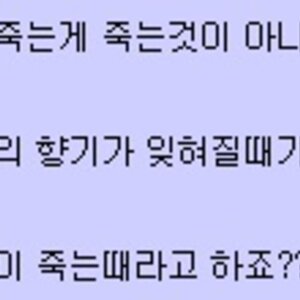 퇴덕해야겠다