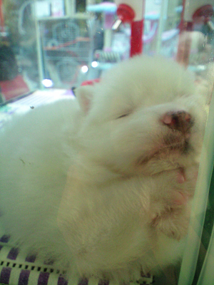사진09~1.JPG