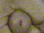 잦이.gif